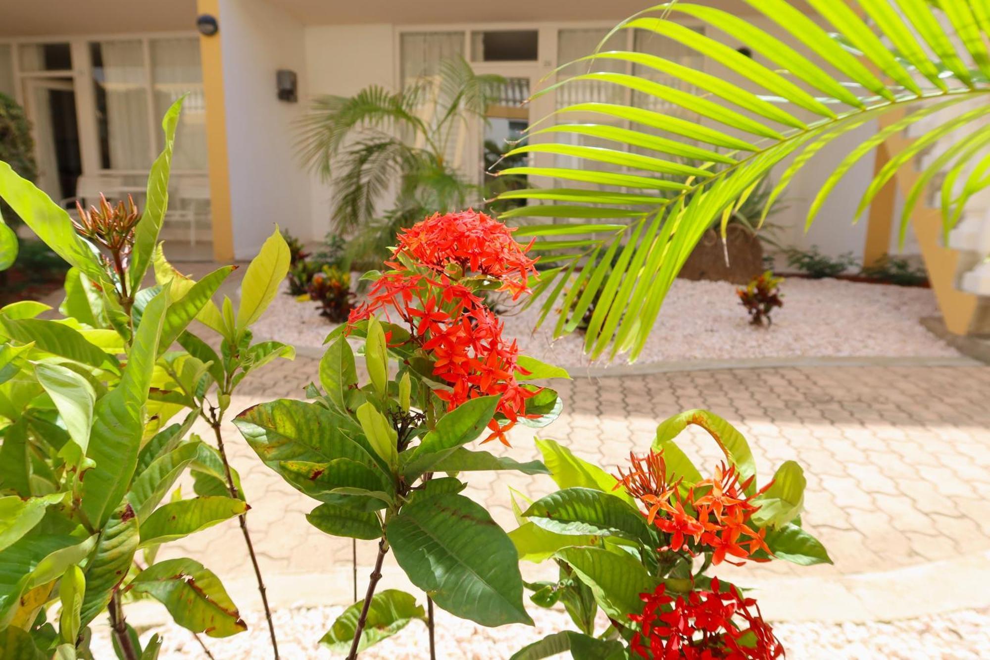 Montana Eco Resort Aruba Oranjestad Exterior foto
